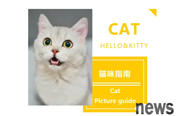 Do you know all about cat breeds?