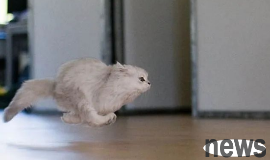 The cat suddenly ran around like crazy. What s wrong?