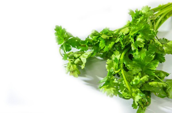 The price of coriander vegetables continues to rise above 1,000. Why does it become higher after the typhoon wind? When can the price of coriander be stable?