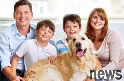 When can dogs be vaccinated? What should puppies pay attention to when they get vaccinated?