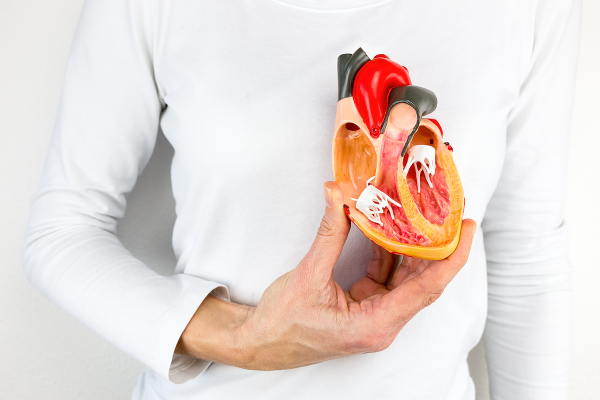 Nutrition to the liver in spring, nourish the heart in summer! In summer, we rely on 