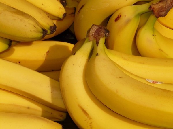 Eat the seasonal/anti-depressed happy food 