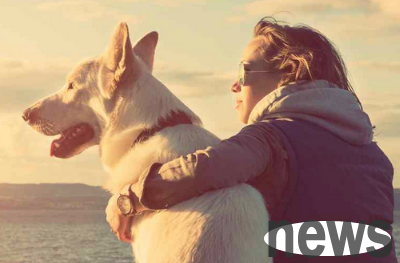 These 6 types of dogs are both versatile and smart, and are only loyal to their owners!