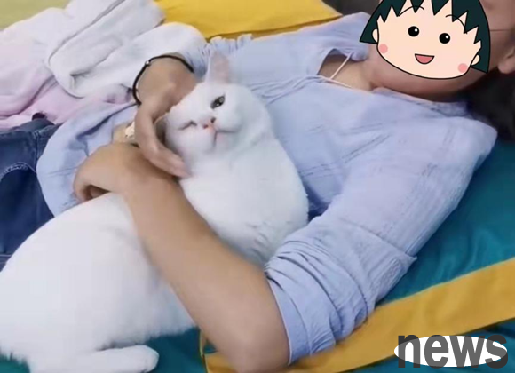 It was awkward, and the cat actually recognized the wrong master! Cat: It s disturbing...
