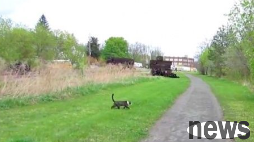 A woman is walking and meeting a relative s cat. She looks so cute when she wants to touch her.