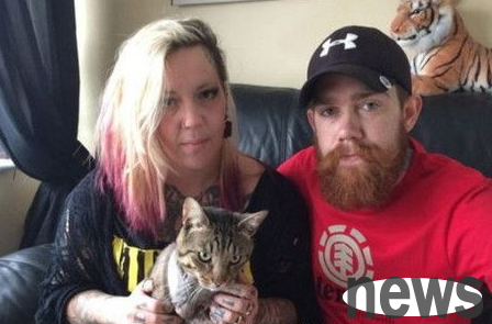 A 3-year-old pet cat was shot twice and still lived strongly after being cut off one of its legs