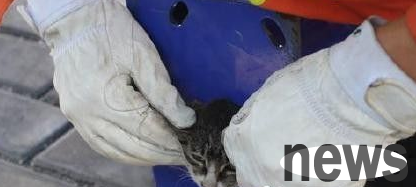 The kitten meowed in pain after its head was stuck, and firefighters sawed the basketball hoop to rescue it.