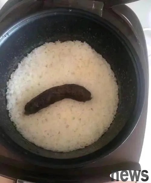 Netizens started a heated discussion on the different expressions of cats when being scolded by Daddy and Mommy.