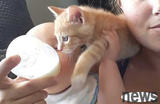 The woman was breastfeeding her child when she suddenly felt itchy on her neck and saw that the cat also wanted to breastfeed.