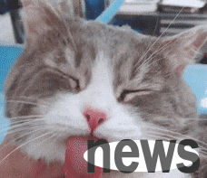 Woman took her cat to have it neutered, and when she came home two hours later, she burst out laughing.