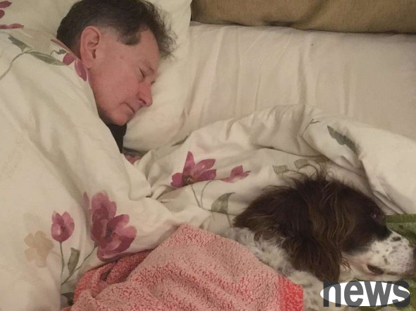 9-year-old dog cannot climb stairs due to stroke, owner makes heart-warming gesture