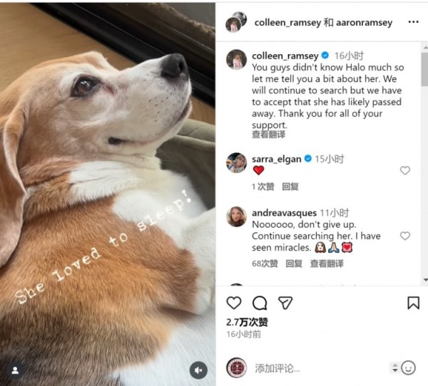 The Ramseys talk about the disappearance of their dog: They will continue to search, but they have to accept that the dog may pass away