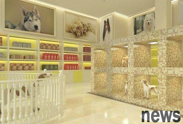 In addition to worries, there are also the following possible reasons for dogs to resist pet supply stores: