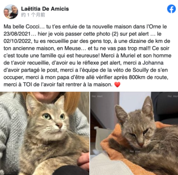 Europe s Strongest Cat: Traveling 600 Kilometers Just to Get Home