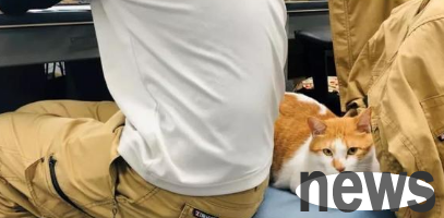 As the public relations minister, Cat is actually at the bottom of the company and is ravaged by employees in all kinds of ways!